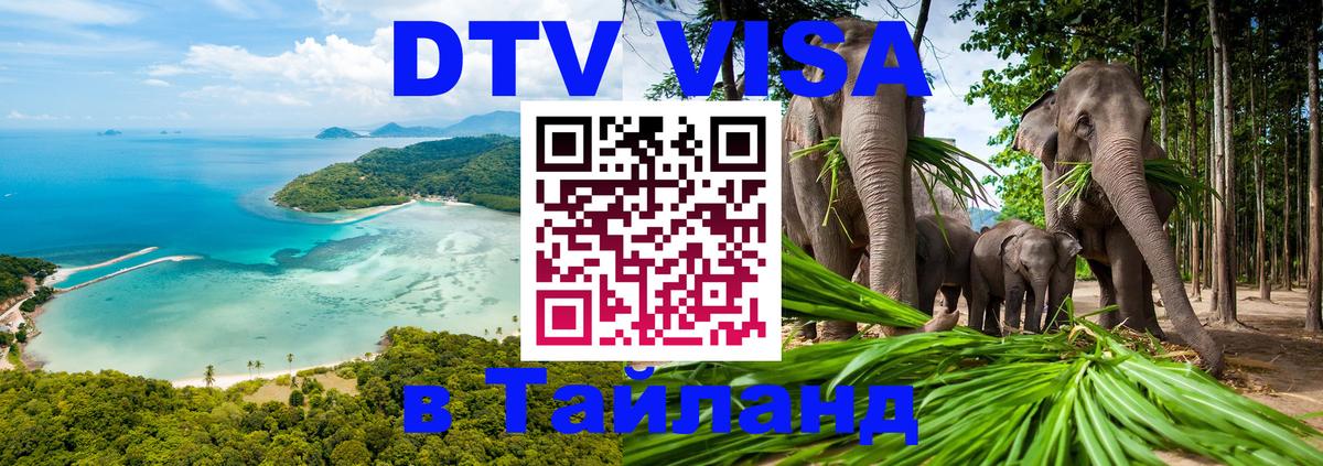 Оформление DTV визы под ключ: стоимость и тарифы, только загранпаспорт - 